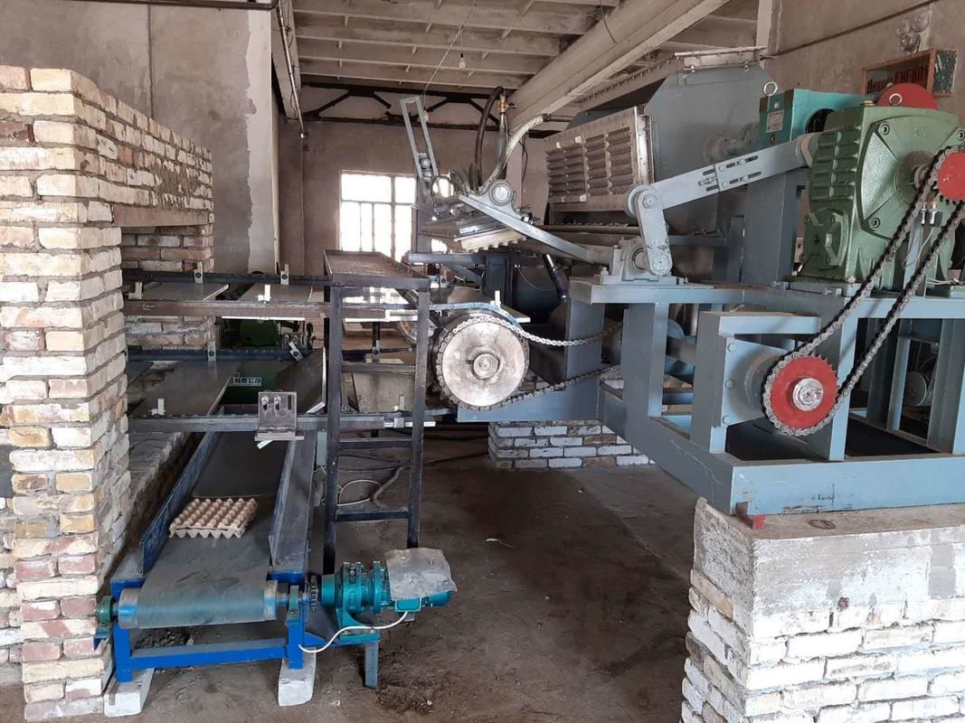 PLC Controlled Automatic Egg Tray Making Machine 5000-6000pcs/Hour Recycled Paper Pulp Molding Production Line