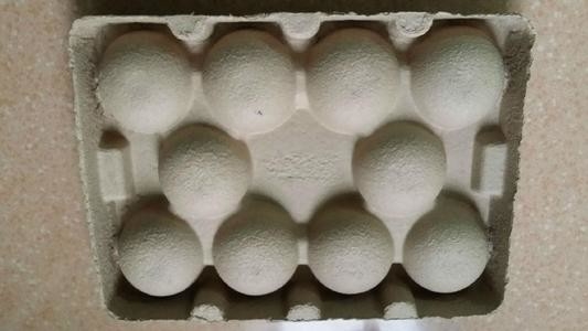 700 Pcs 2 Molds Reciprocating Paper Tray Forming Machine For Fruit Tray