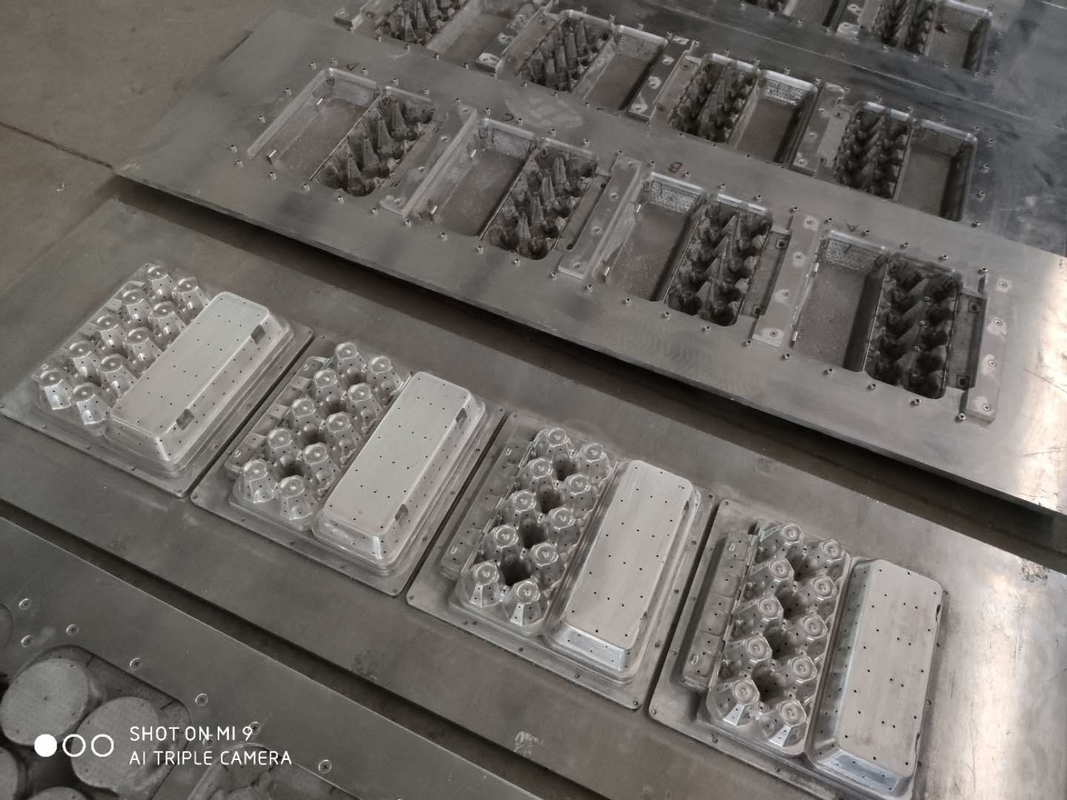 Paper Egg Tray Machine 20 Cavity Pulp Mold For Molded Pulp Products