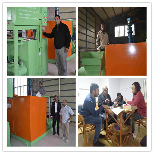 295*295mm Egg Tray Production Line Aluminum Forming Molds Apple Tray Making Machine