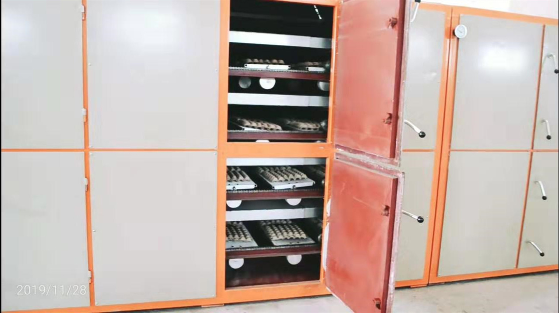 6000pcs/Hour Wood Pulp Paper Tray Forming Machine For 6 Worker