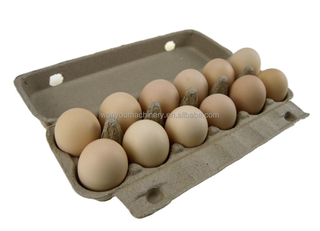 Pulp Waste Paper Egg Tray Making Machine For Chicken Farm Small Production Capacity