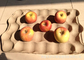 45KW Small Egg Tray Production Line 7T Capacity 700 - 1500pcs/H Apple Tray Making Machine