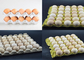 Small Capacity Paper Egg Carton Making Machine With ABS Molds Easy Operation