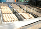 Large Capacity Pulp Molding Equipment Egg Tray Egg Carton Production Line