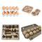 350pcs/Hr Automatic Small Egg Tray Making Machine With Egg Tray Dryer 1 Year Warranty