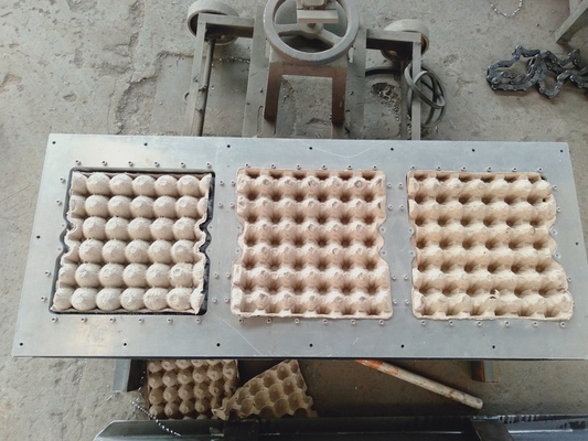 Customized Automatic Small Egg Tray Making Machine 7.5KW Vacuum Pump Low Failure