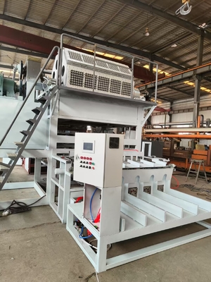 Fully Automatic 6x8 Molds Paper Egg Tray Machine 5000-6000pcs/h