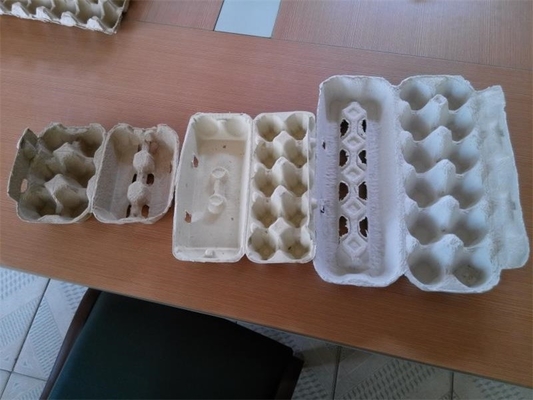 Reciprocating Type Egg Tray Production Line Pulp Molding Machine Small Capacity