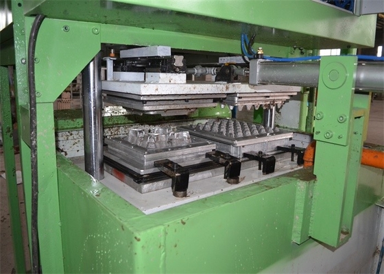 Semi Automatic Pulp Molding Machine Egg Tray Making Machine Computer Controlled