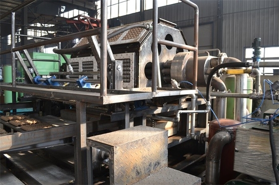 Waste Cardboard 5000pcs Per Hour Egg Carton Machine