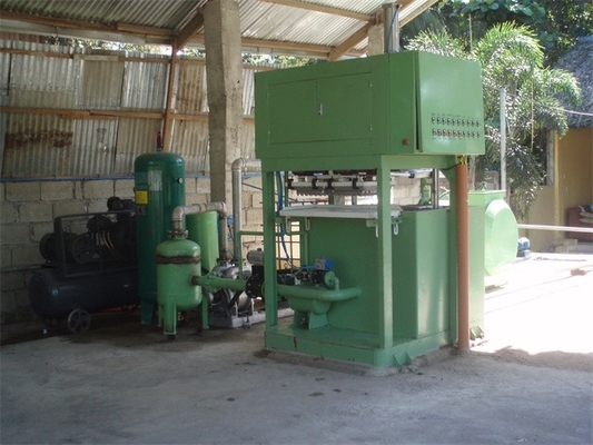 Eco Friendly Fruit Tray / Egg Tray Production Line 350 -3000pcs/h Capacity
