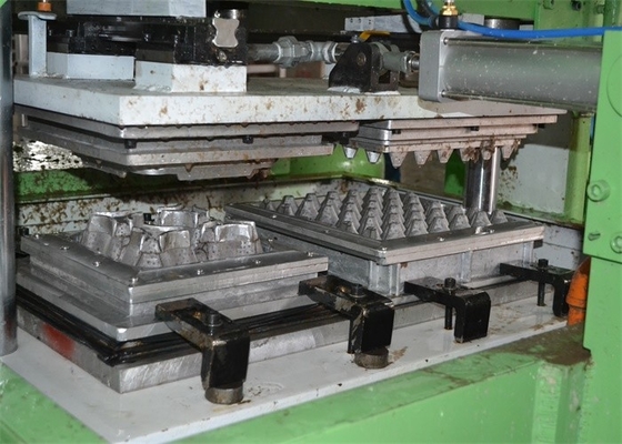 High Performance Paper Egg Tray Making Machine Computer Control Germany Valve