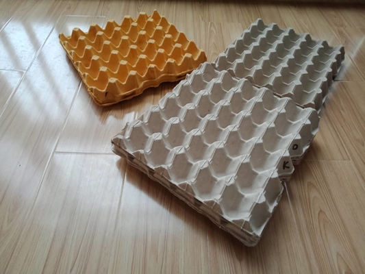 High Efficiency Paper Egg Tray Machine Production Line Controlled By Computer