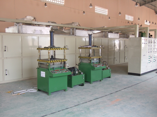 Reciprocating Type 30 Box Egg Tray Production Line Fully Automatic