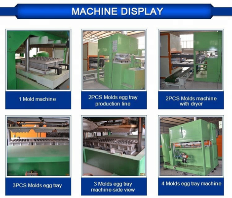Egg Tray Mould Pulp Tray Machine With Plc Cabinet 2 Years Guarantee