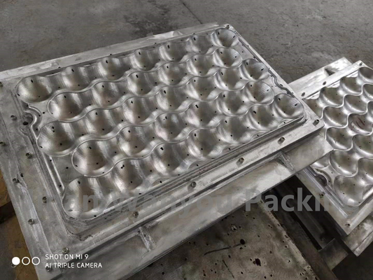 Molded Pulp Container Small Paper Pulp Molding Machine With Aluminum Molds